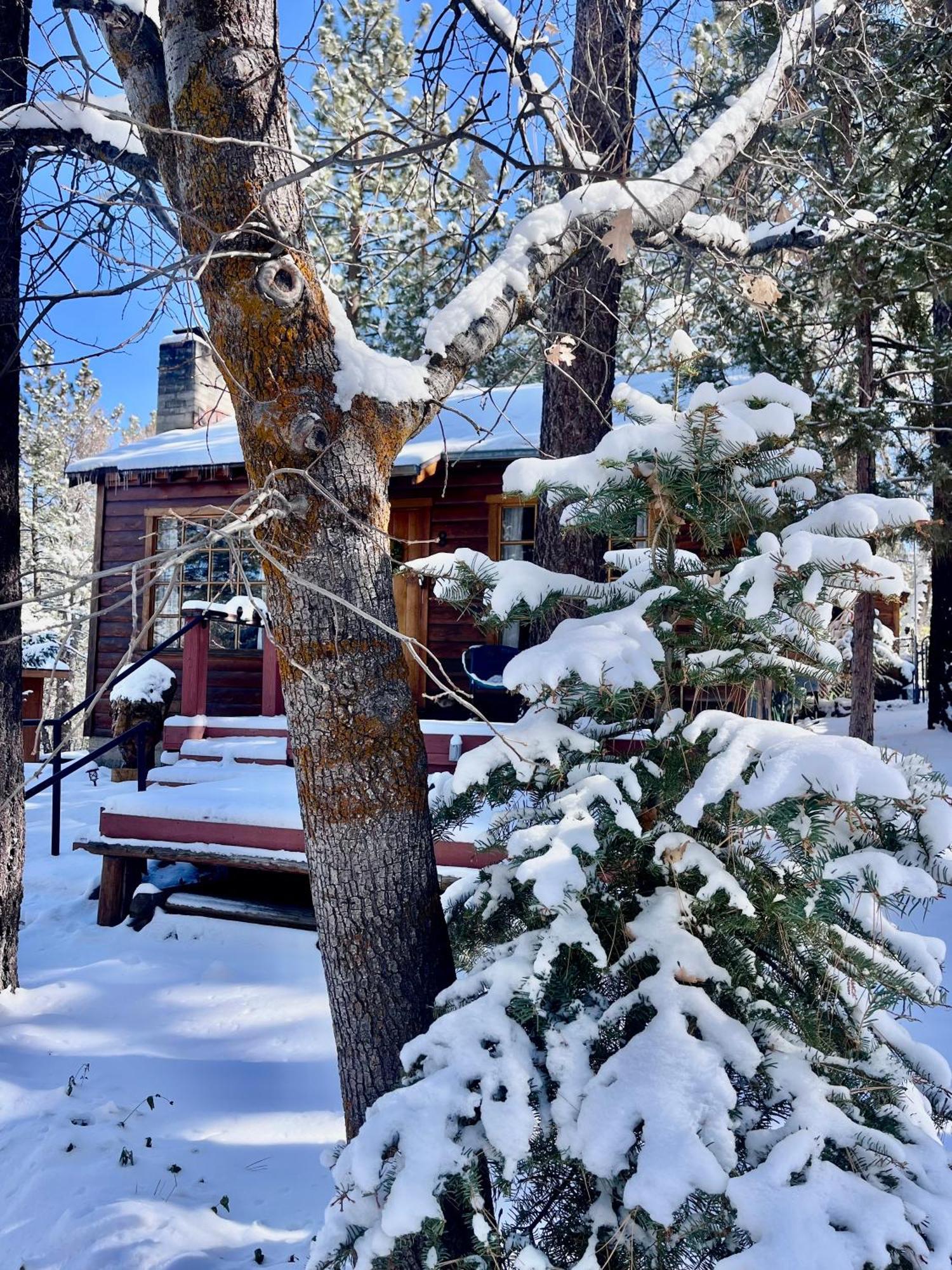 The Nest On Towne Trail - Hot Tub, Bbq, Fire Pit Big Bear Lake Exterior foto