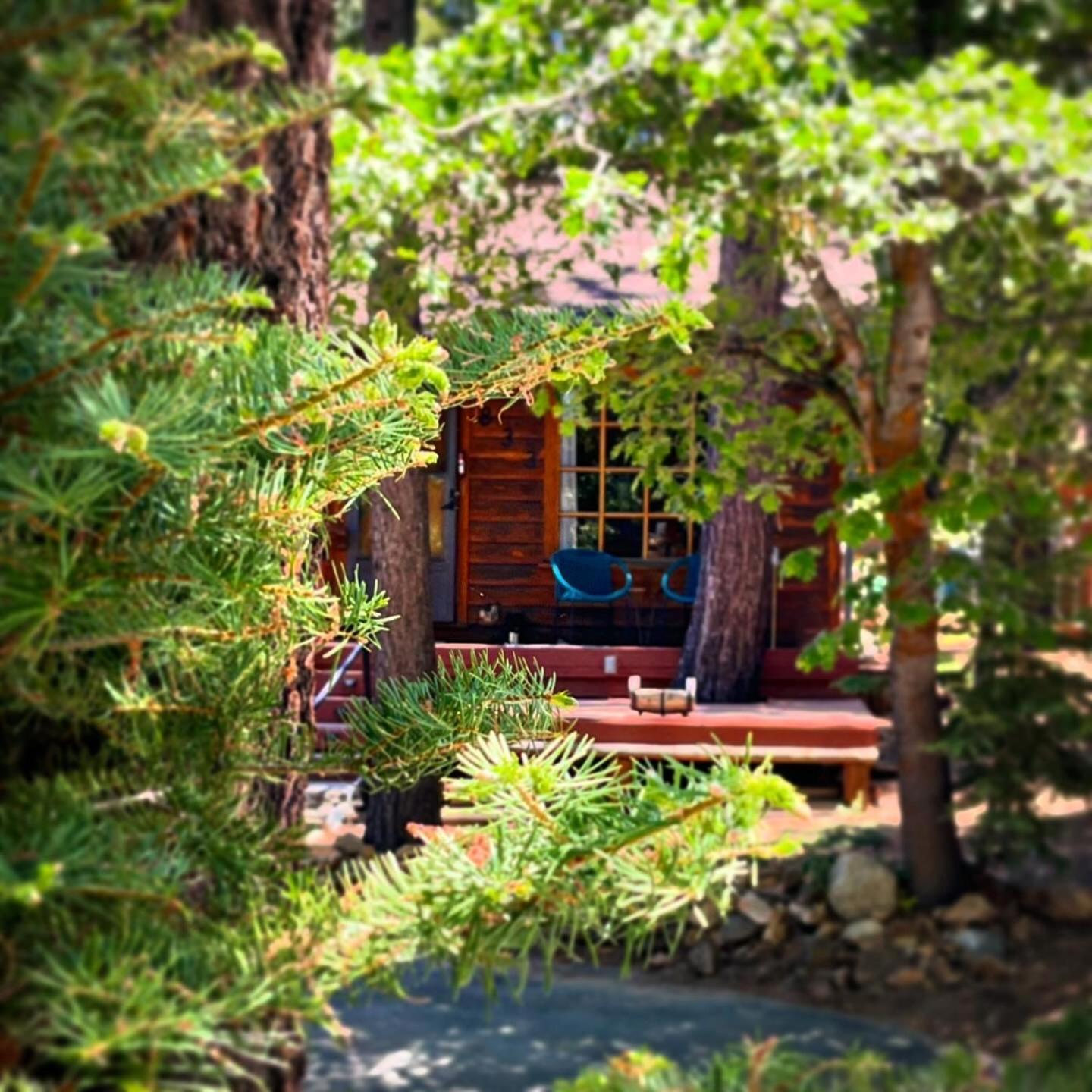 The Nest On Towne Trail - Hot Tub, Bbq, Fire Pit Big Bear Lake Exterior foto